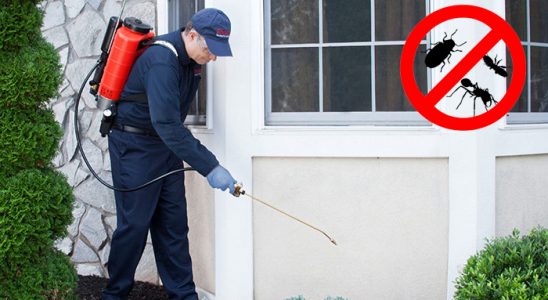 Çağlayancerit Tahtakurusu İlaçlama böcek ilaçlama ve haşere kontrolü — ilaclama-tr.com
